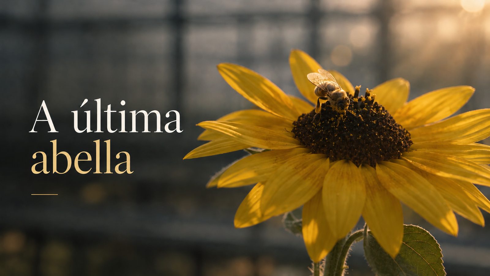 A última abella